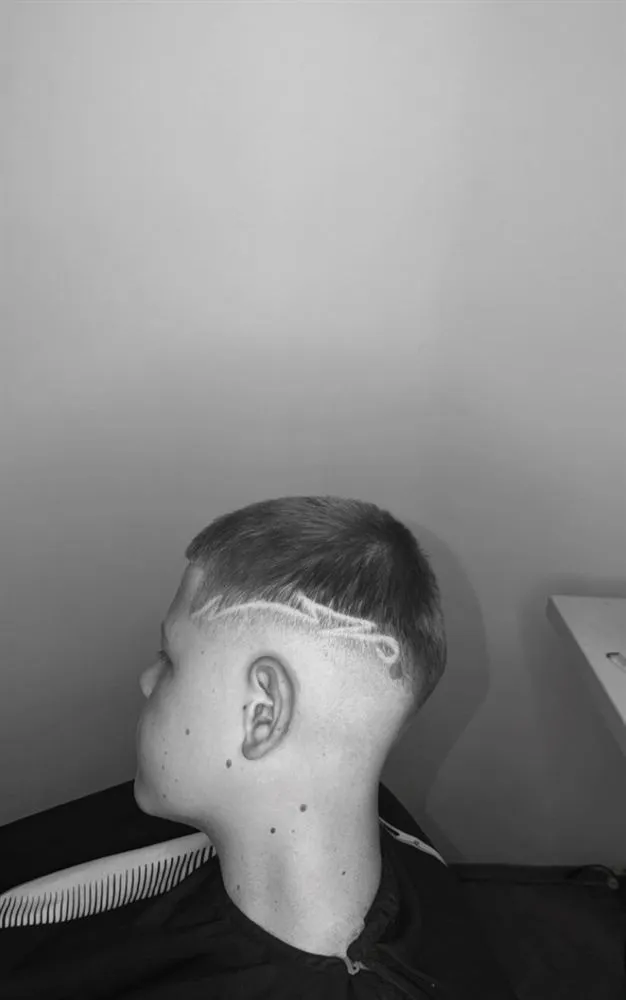 Šišanje — Vukašin, rad 2